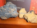 phaeoporus obliquus extract - product's photo