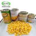 canned sweet corn - product's photo