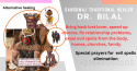 love spells +27648060105 love binding spell caster in nelspruit, salt  - product's photo