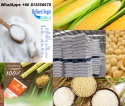 jasmin rice original from thailand - product's photo