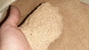 wheat bran fob russia - product's photo