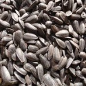 sunflower seed - product's photo