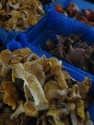chanterelles - product's photo