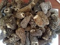 morel mushrooms - product's photo