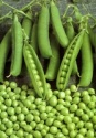 peas - product's photo