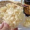 cheap popular herbal tremella - product's photo