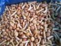 iqf frozen nameko mushroom - product's photo