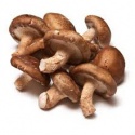shiitake mushroom - product's photo