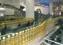 sunflower cooking oil - product's photo