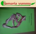 frozen pork intestine from russia - product's photo