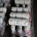 high quality king oyster mushroom - product's photo