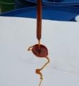  water soluble soya lecithin - product's photo