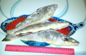navaga natural frozen - product's photo
