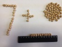 chickpea 7+ - product's photo
