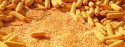 corn fob novorossiysk, russia - product's photo