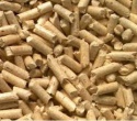 wood pallet - product's photo